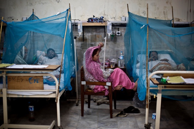 Patients suffering from the mosquito-borne disease, dengue fever, are treated in an isolation hospital ward in Rawalpindi, Pakistan. Dengue, a flu-like illness spread by the Aedes mosquito, spikes during the annual monsoon when puddles of stagnant water form where the insects breed.
