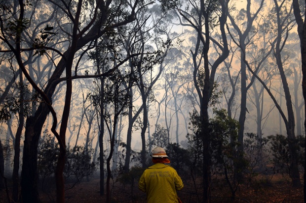 Heavy smoke fills the forest as a firefighter and his team prepare to battle approaching flames from a bushfire near Faulconbridge in the Blue Mountains near Sydney in Australia. Over 200 homes in the area have been destroyed by the bushfires in the last week.