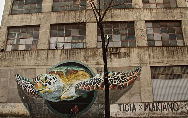 Graffiti: 3d turtle graffiti