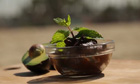 Avocado chocolate mousse