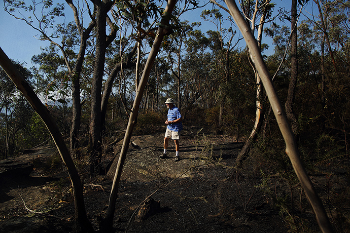 Bushfires : Faulconbridge resident, Tony Bles surveys the valley behind his property