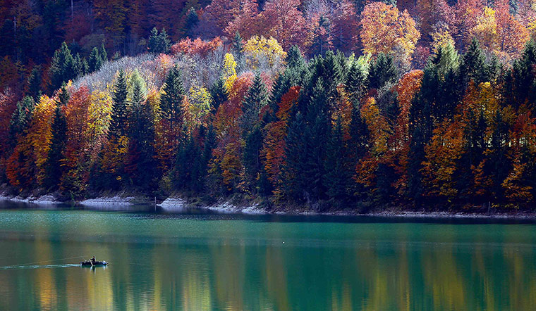 Week in wildlife: Autumnal trees at Sylventein barrier lake