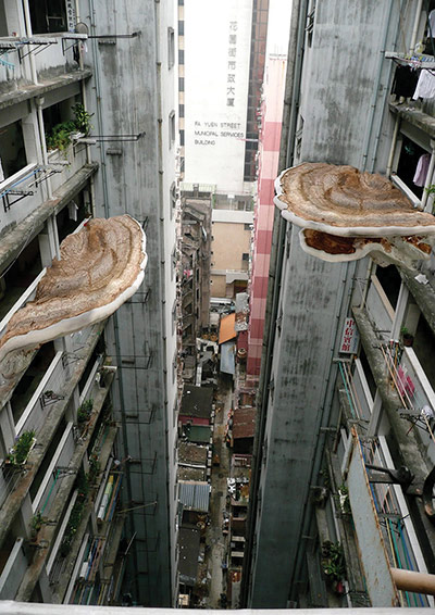 Grow Your Own: New Mumbai by Tobias Revell