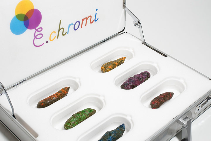 Grow Your Own: E.Chromi by Alexandra Daisy Ginsberg