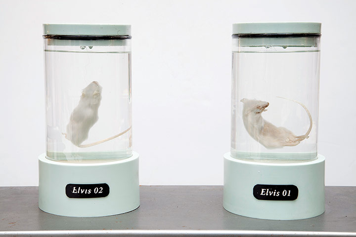 Grow Your Own: ALL THAT I AM by Koby Barhad