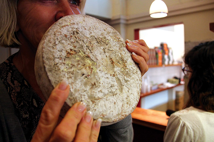 Grow Your Own: Human cheese, by Christina Agapakis and Sissel Tolaas