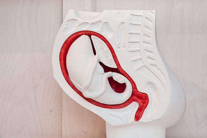 Grow Your Own: 'I Wanna Deliver a Dolphin...' by Ai Hasegawa