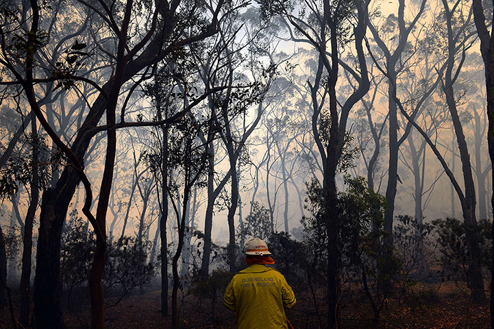20 Photos: A firefighter watches smoke rise from bushfires near Faulconbridge, Australia