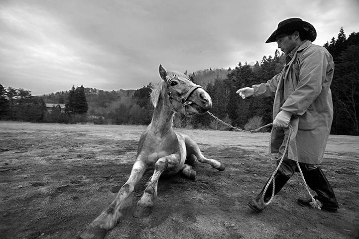 Fukushima horses: Tokue Hosokawa, a 62-year-old horse breeder, on his 100-year-old farm in  I