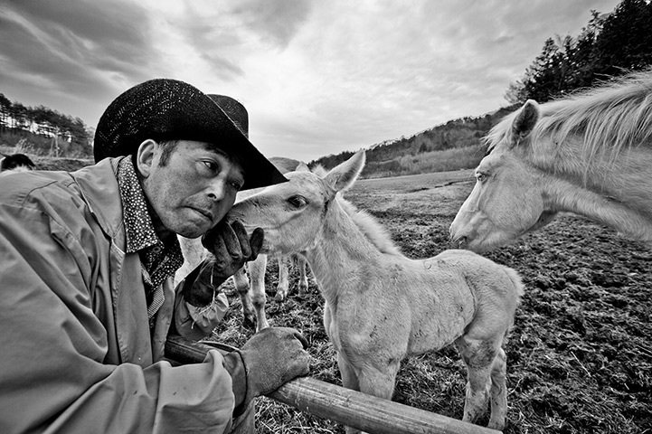 Fukushima horses: About 30 horses have remained in Hosokawa farm because he find a place for 