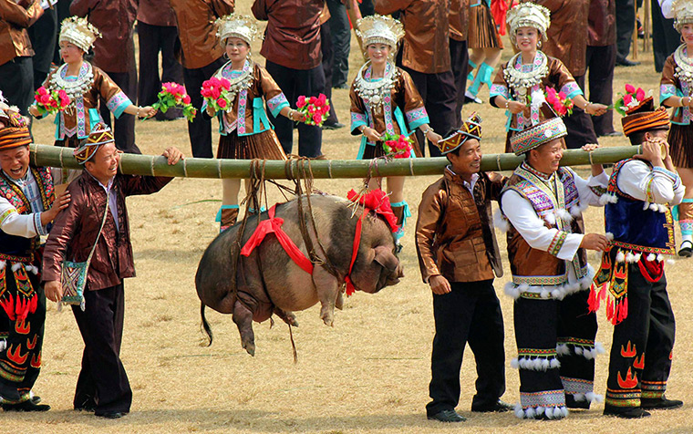 Weekend in pictures: Rongshui county, China: Ethnic Miao people carry a pig at a traditional festival, Datongnian, during which people dance and sing folk songs