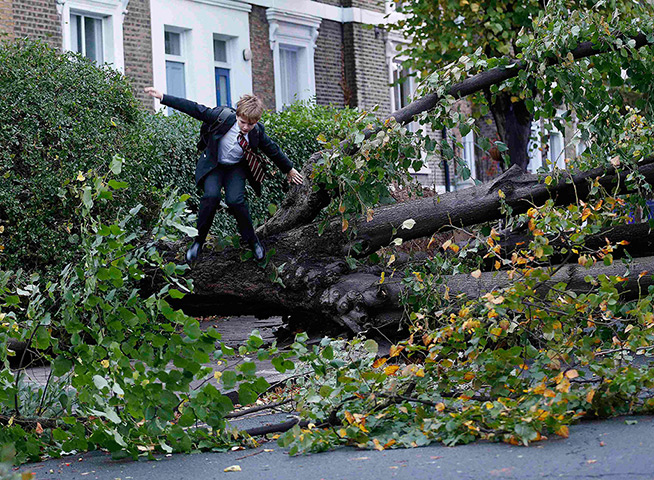 Storm damage: Theo Harcourt, a 13-year-old student, jumps over a fallen tree on his way to school