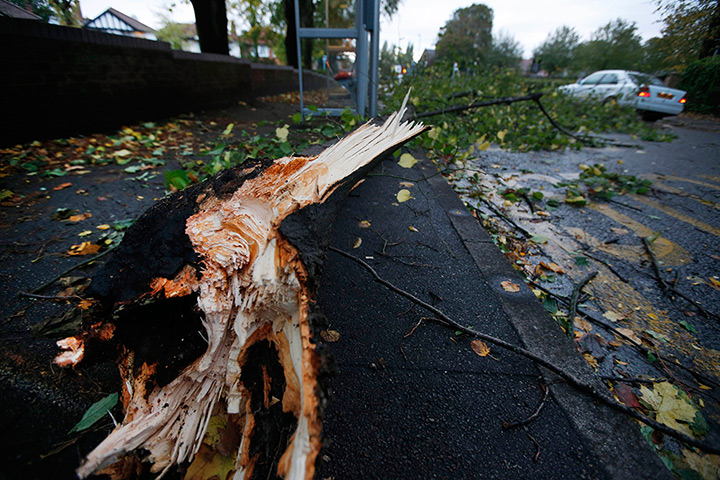 Storm damage: A fallen tree branch partially blocks a pavement and road in west London