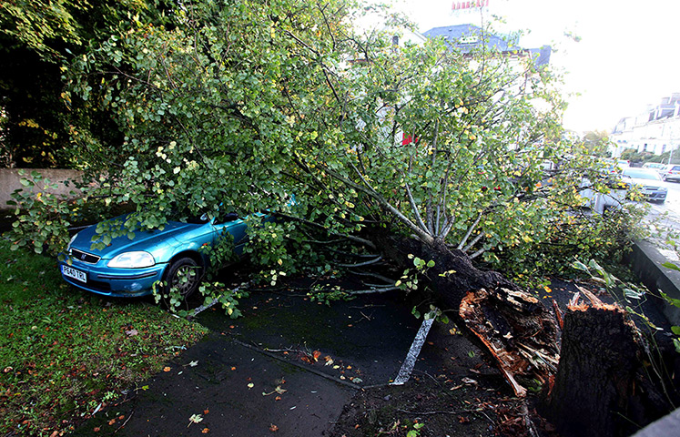 Storm damage: A tree on top of a car in Plymouth, Devon