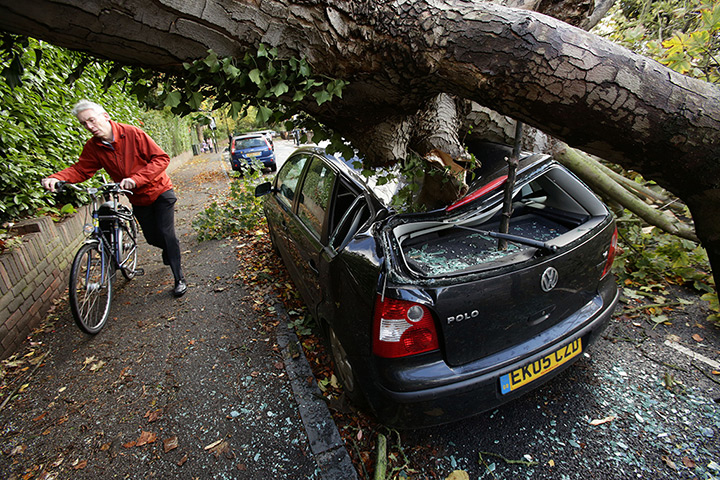 Storm damage: A car is crushed under a fallen tree in Hornsey, north London