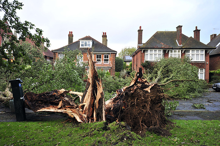 Storm damage: A fallen tree blocks a road in Brighton due to the overnight storm