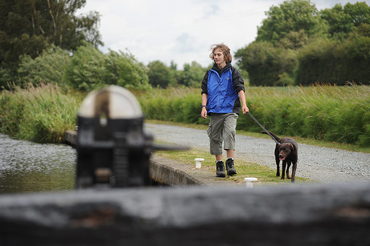 Great Nature Watch: Montgomery Canal