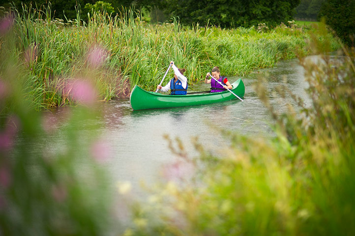 Great Nature Watch: Aston Locks