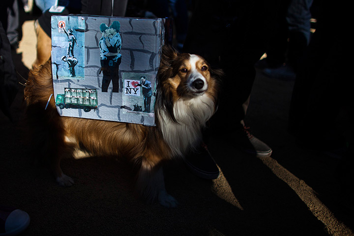 Halloween pets: A dog dressed as Banksy murals takes part in the 23rd annual Tompkins Square Halloween dog parade in New York 