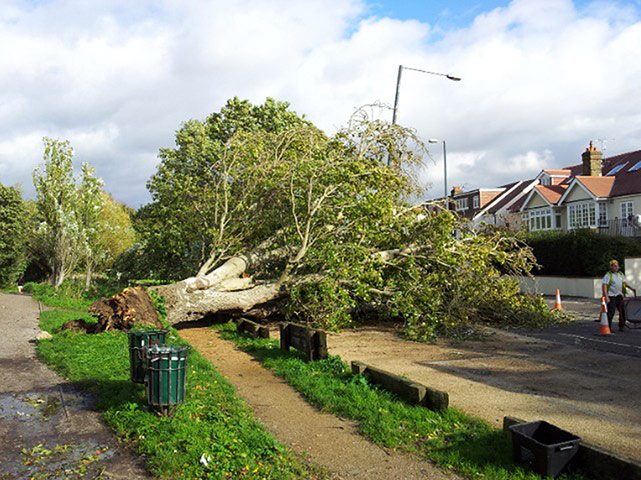 St Jude Witness: Tree down across Lonsdale Road in Barnes