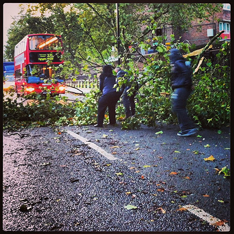 St Jude Witness: Tree down on New North Road, Islington