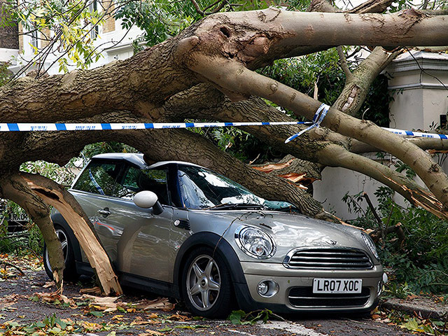 St Jude Witness: A tree lands on a car in Camden Square, London