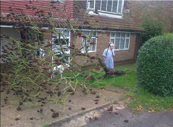storm extra: Storm 1 - Tree 0 - South Holland, Loncolnshire