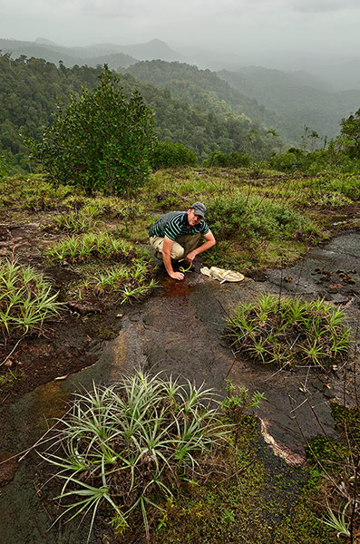 RAP in Suriname: Conservation International team discovered new species