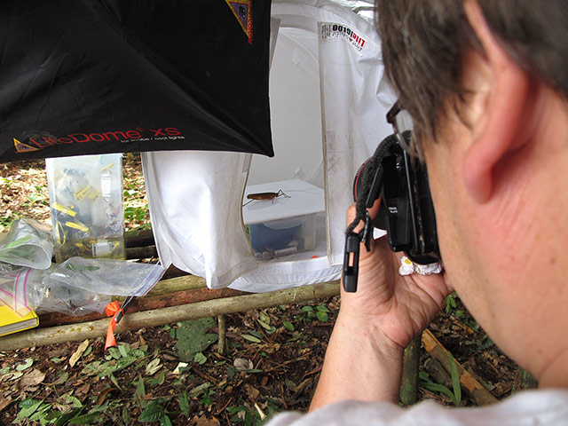 RAP in Suriname: Conservation International team discovered new species