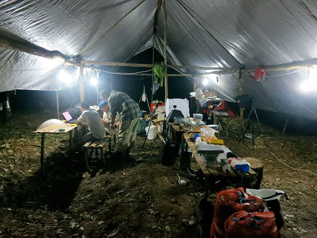 RAP in Suriname: Conservation International team discovered new species