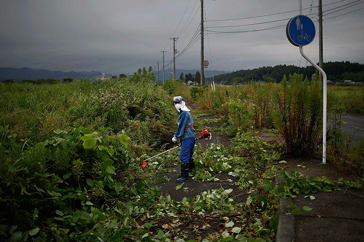 Fukushima: A worker cuts dense, wild vegetation in the evacuated town of Namie