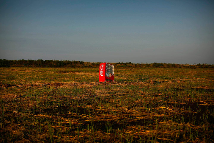Fukushima: A vending machine is seen in a abandoned rice field