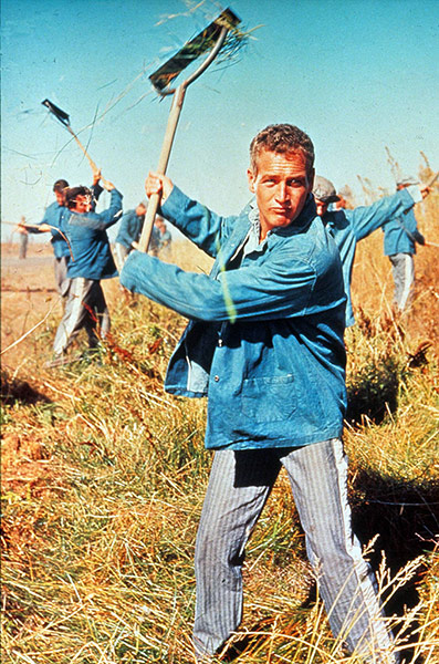 10 best: Cool Hand Luke