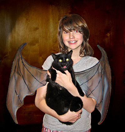 Halloween pets: bat cat