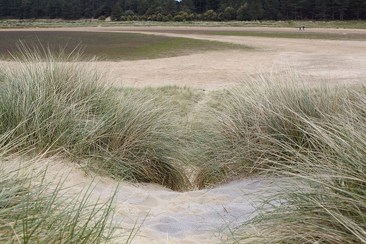 Funerals: Mum's ashes