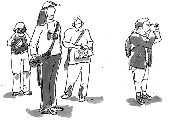 Navy Ilustration: Boat Spotters