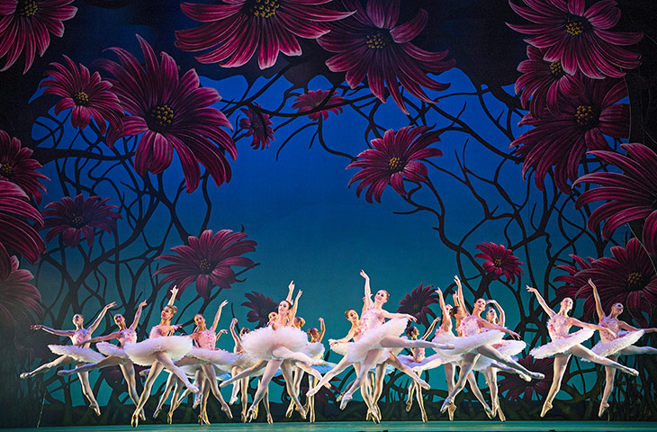 Week on stage: A scene from Don Quixote by The Royal Ballet at the Royal Opera House