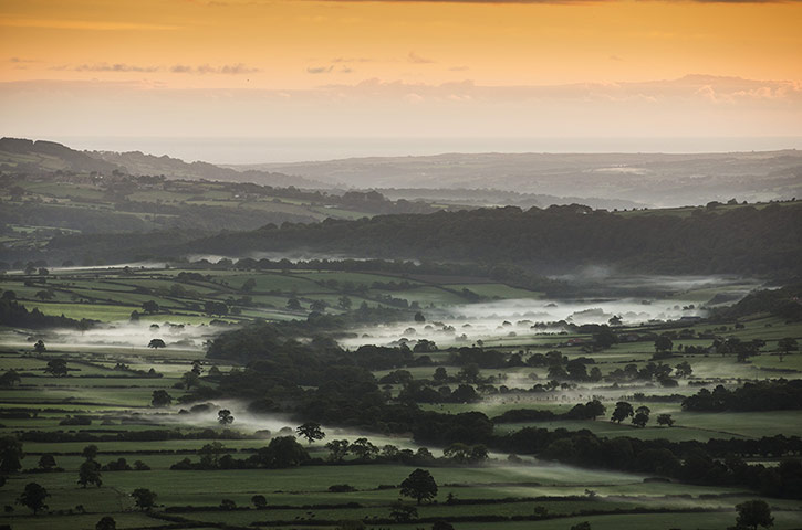 Week in Wildlife: Autumn Colours In The North Yorkshire Moors