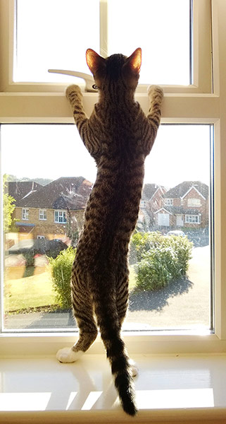 In Pictures - Climb: In Pictures - Climb