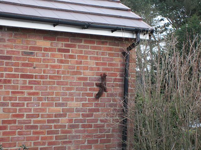 In Pictures - Climb: In Pictures - Climb