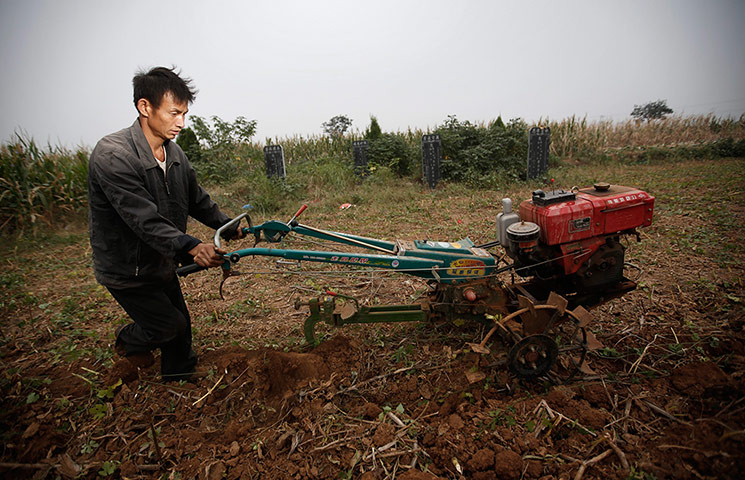 China : South-to-North Water Transfer project