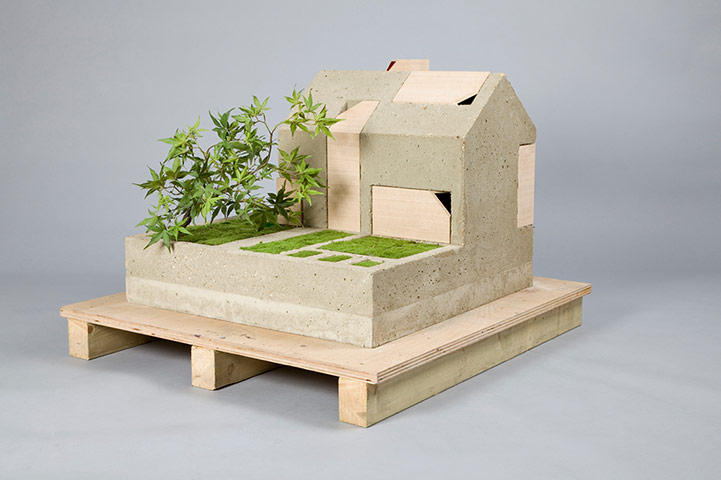 Doll's houses: COFFEY ARCHITECTSYoung Architect of the Year 2012