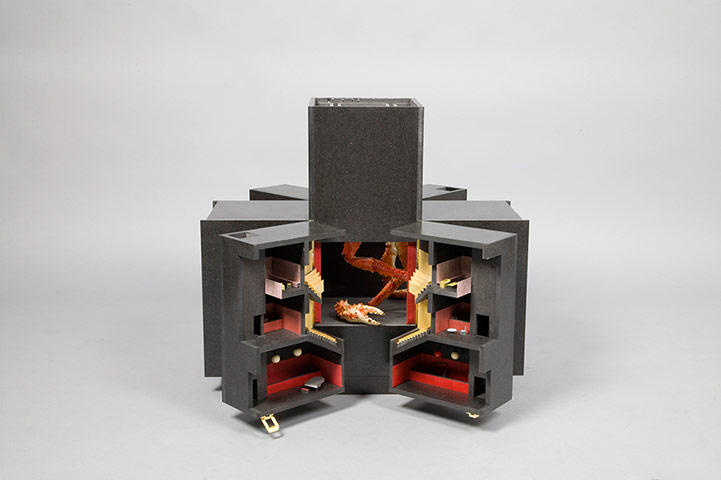 Doll's houses: DRDH Architects