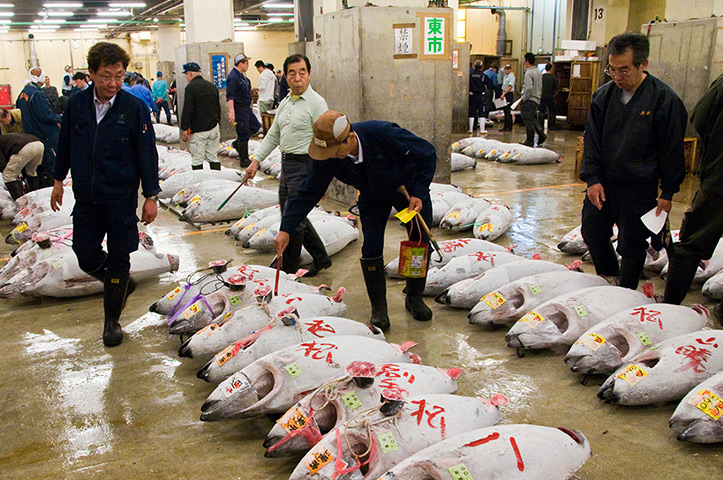 CBRE winners: 5am - Tuna at Tsukiji fish market 