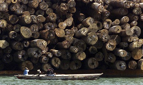 Certified timber dock at the port of Gresik in East Java