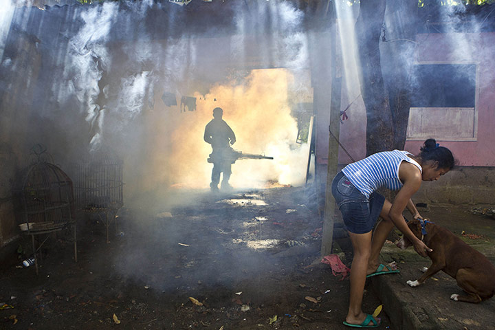 20 Photos: A Nicaraguan health ministry worker fumigates a resident's front yard