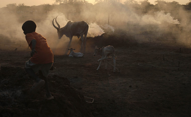 20 Photos: A boy stands near cattle at a camp, near Abyei