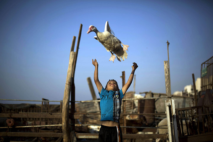 20 Photos: A Palestinian boy plays with a duck in Gaza City