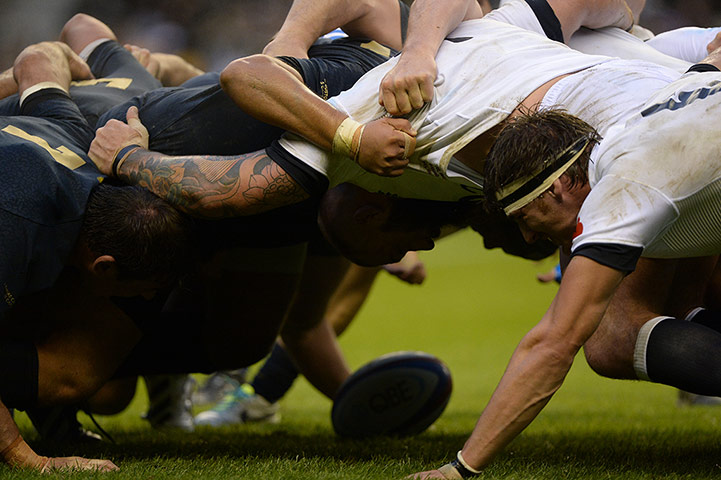 England v Argentina: The ball is fed into a scrum