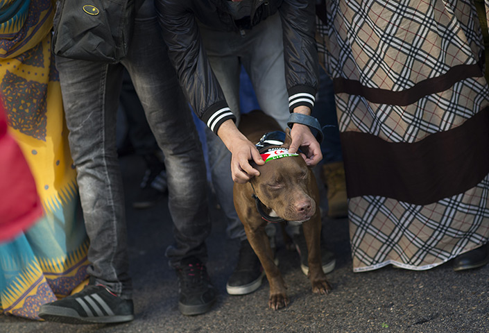 Weekend in pictures: Madrid, Spain: An activist for the independence of the Western Sahara place